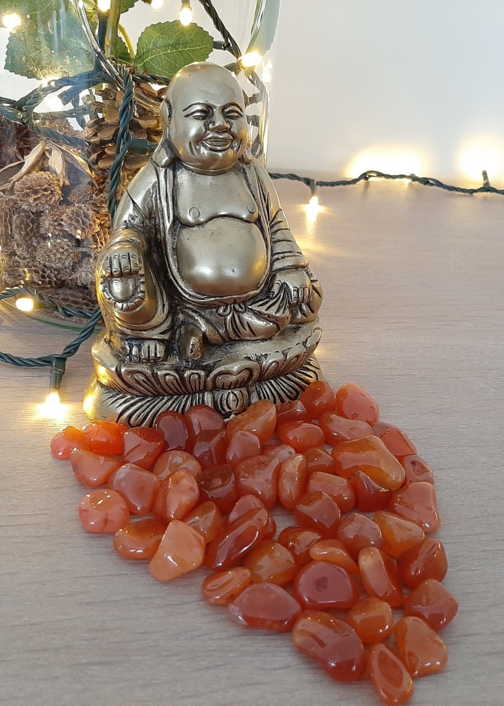 Hug stone Carnelian M