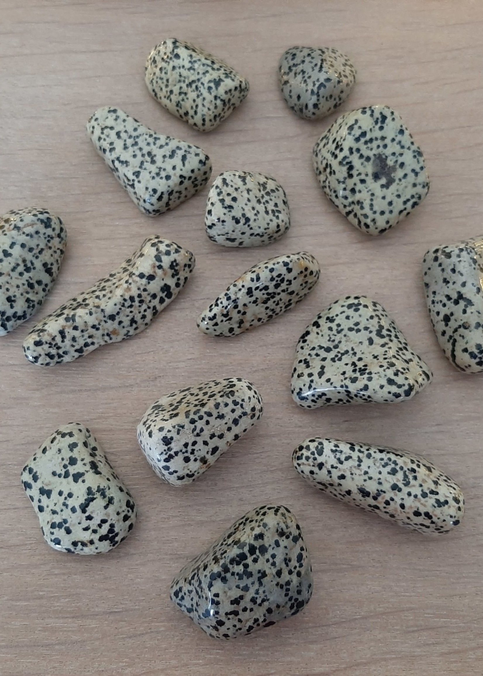 Hug stone Dalmatian Jasper XL