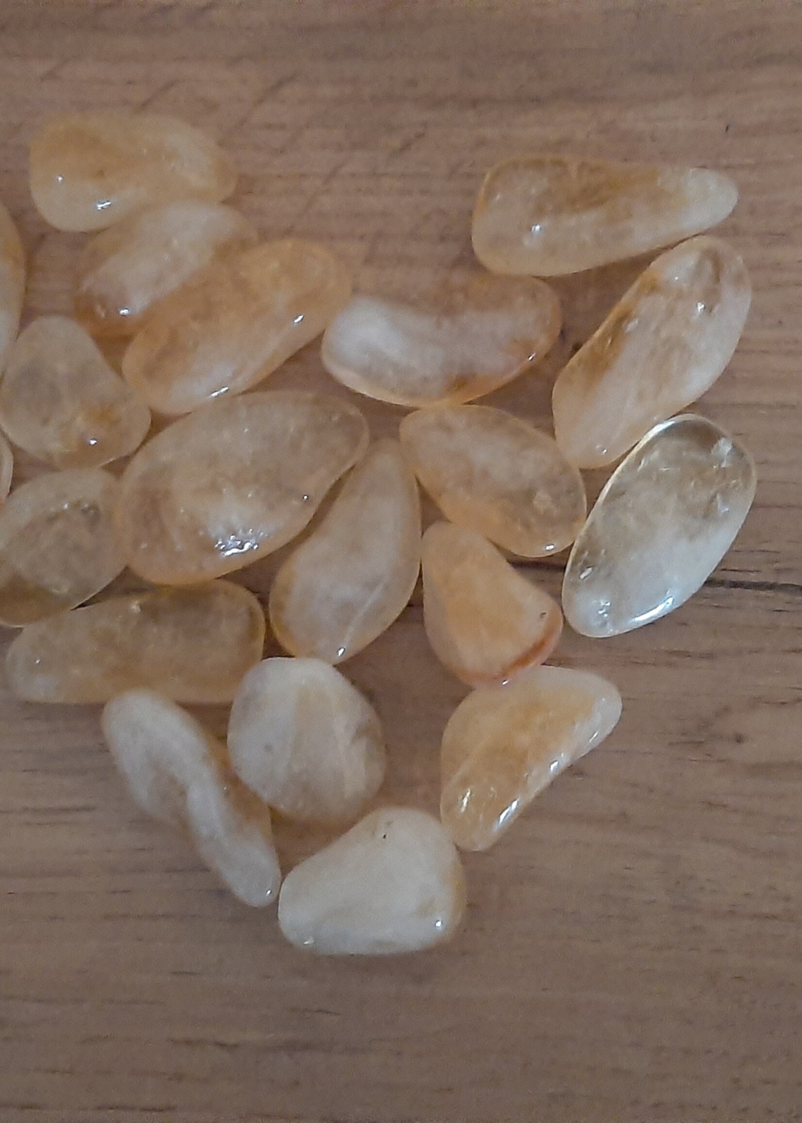 Pierre câline Quartz Citrine