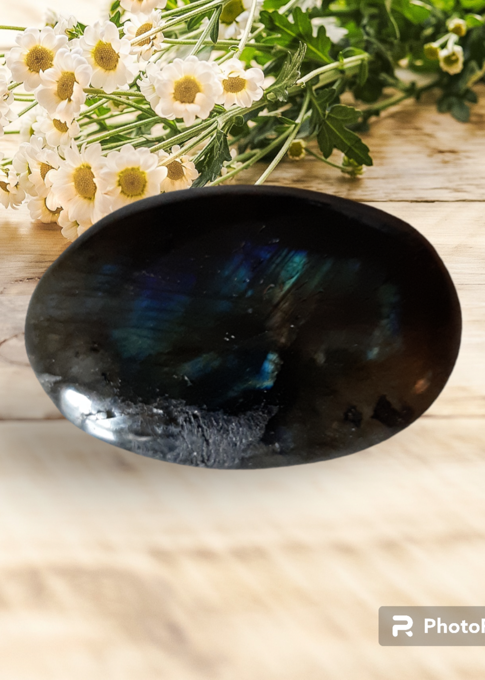 Pierre câline Labradorite XL