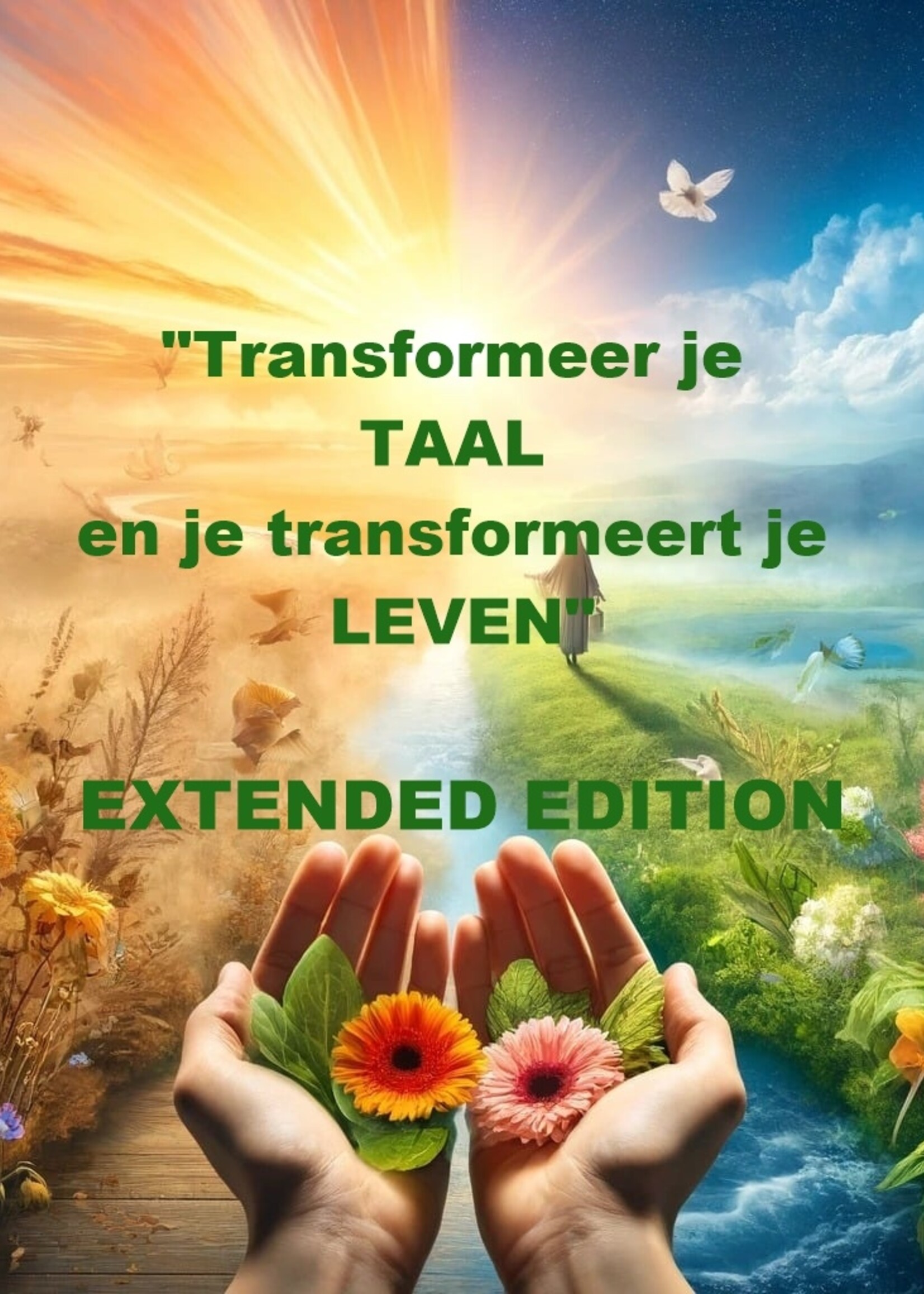"Transformeer je TAAL en je transformeert je LEVEN" cursus + 18u coaching EXTENDED EDITION