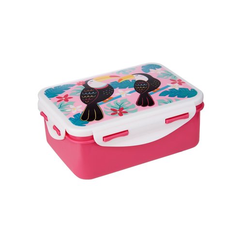 Sass&Belle Bentobox / lunchbox Rex London - Copy