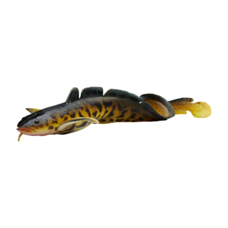 Savage Gear 3D Burbot | Fast Sinking