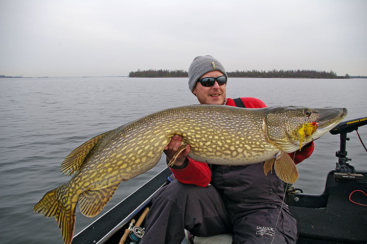 De grootste Nederlandse snoek in 2017 gevangen