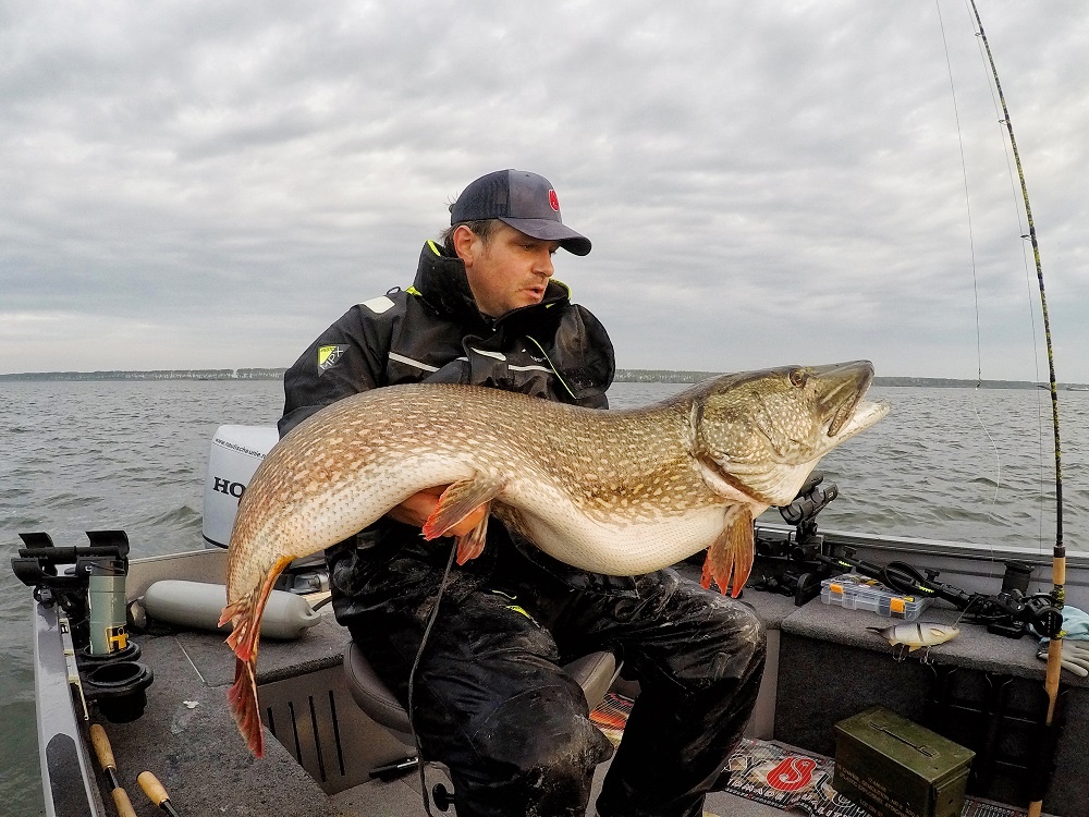 Nederlands Record Snoek gevangen in 2019