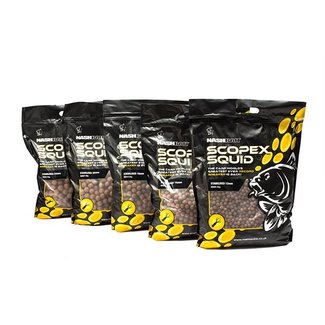 Nash Scopex Squid Boilies Stabilised | 1kg