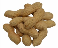 Doppinda's gebrand excellent