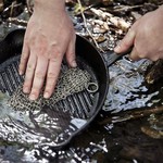 Petromax Petromax Scrub-XL 20cm