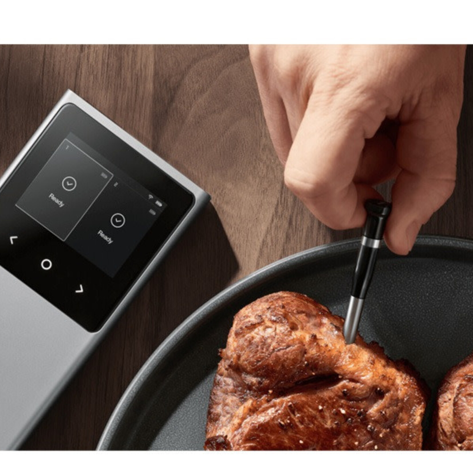 Typhur Typhur Sync Dual Wireless Thermometer