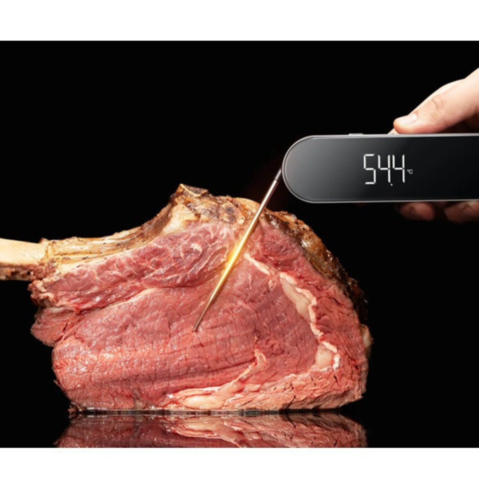 Typhur Typhur Instaprobe Core Thermometer