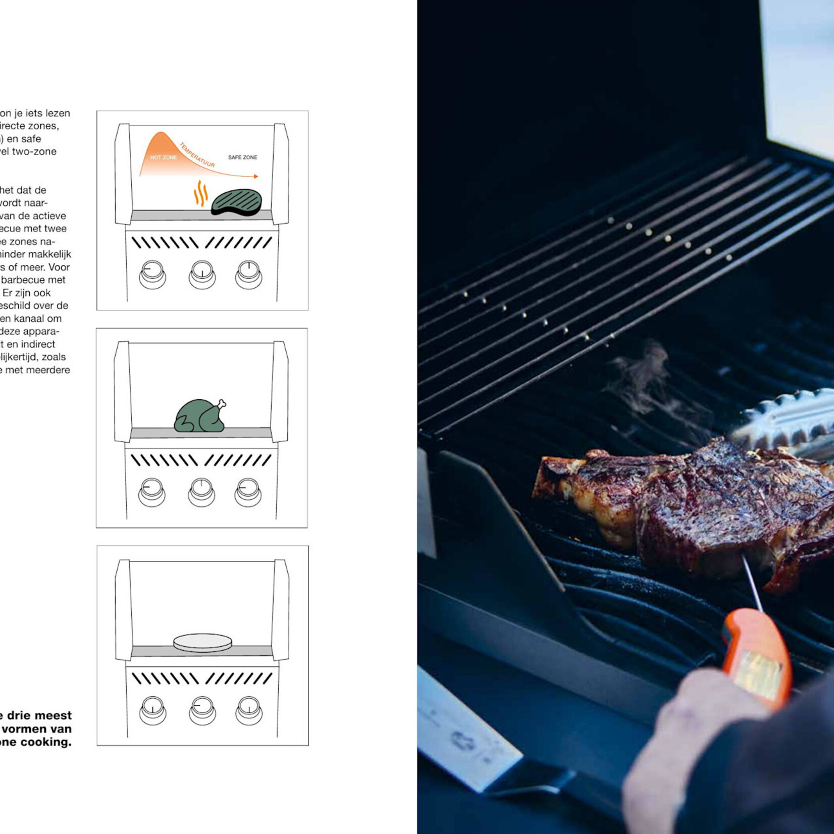 Het Ultieme GasBBQ Boek