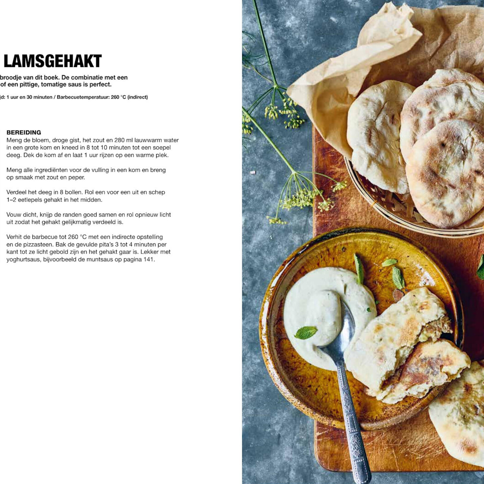 Het Ultieme GasBBQ Boek