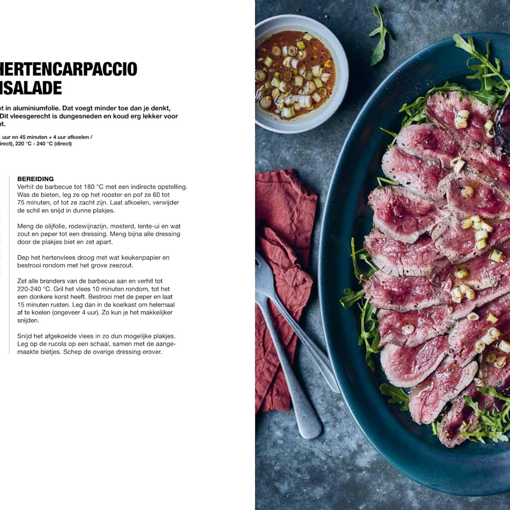 Het Ultieme GasBBQ Boek