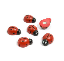 Lieveheersbeestje Magneetjes - 6 stuks - Unieke Eyecatcher