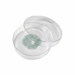 colombian spore print