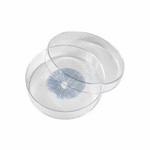 hawaiian spore print