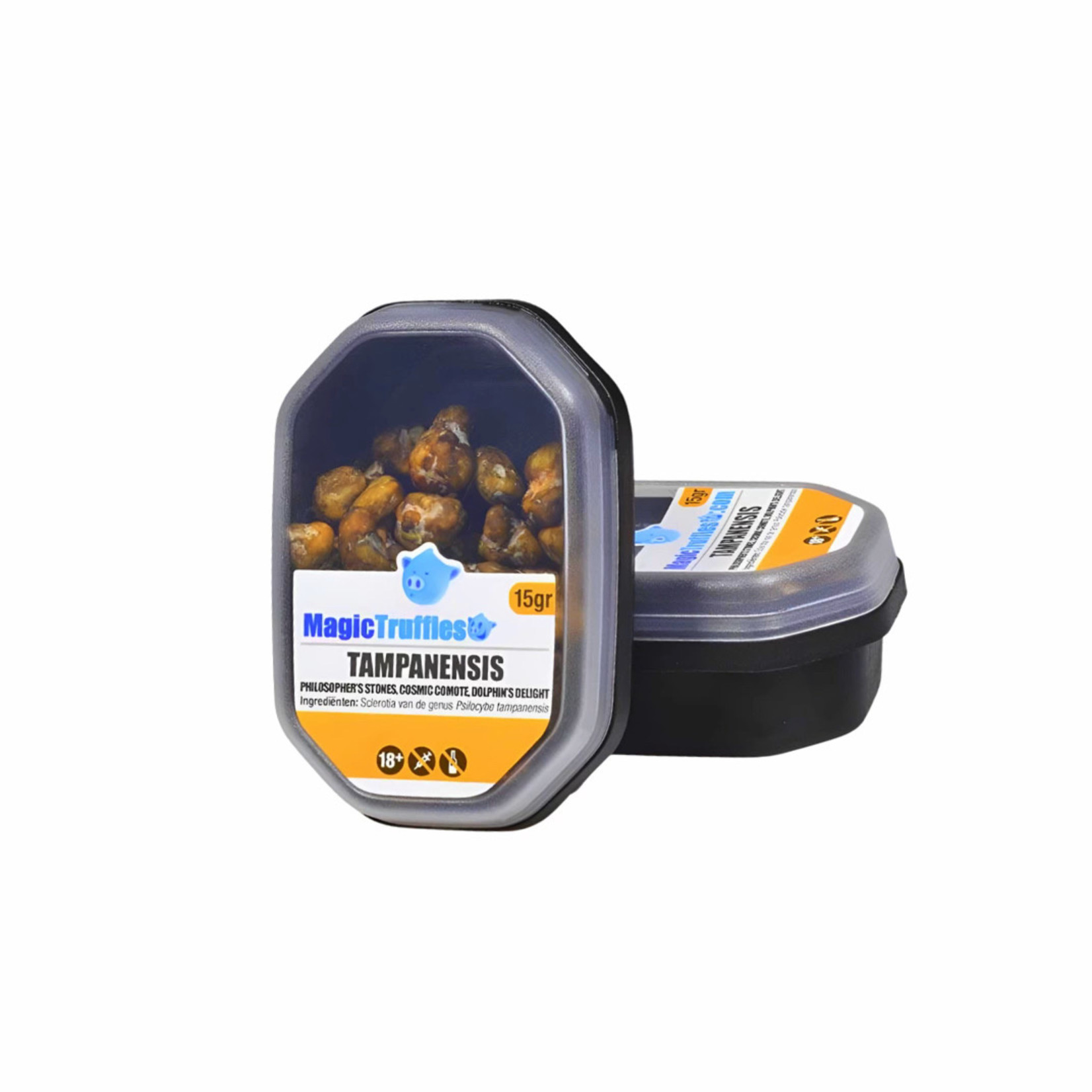 Tampanensis 15g