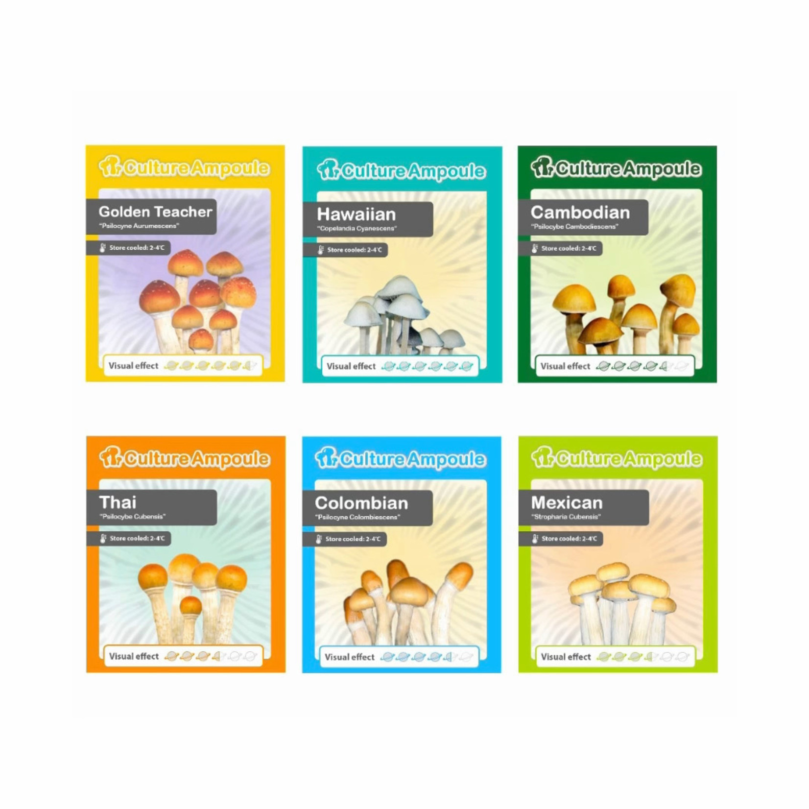 Ecuadorian Liquid Spores Culture Ampoule