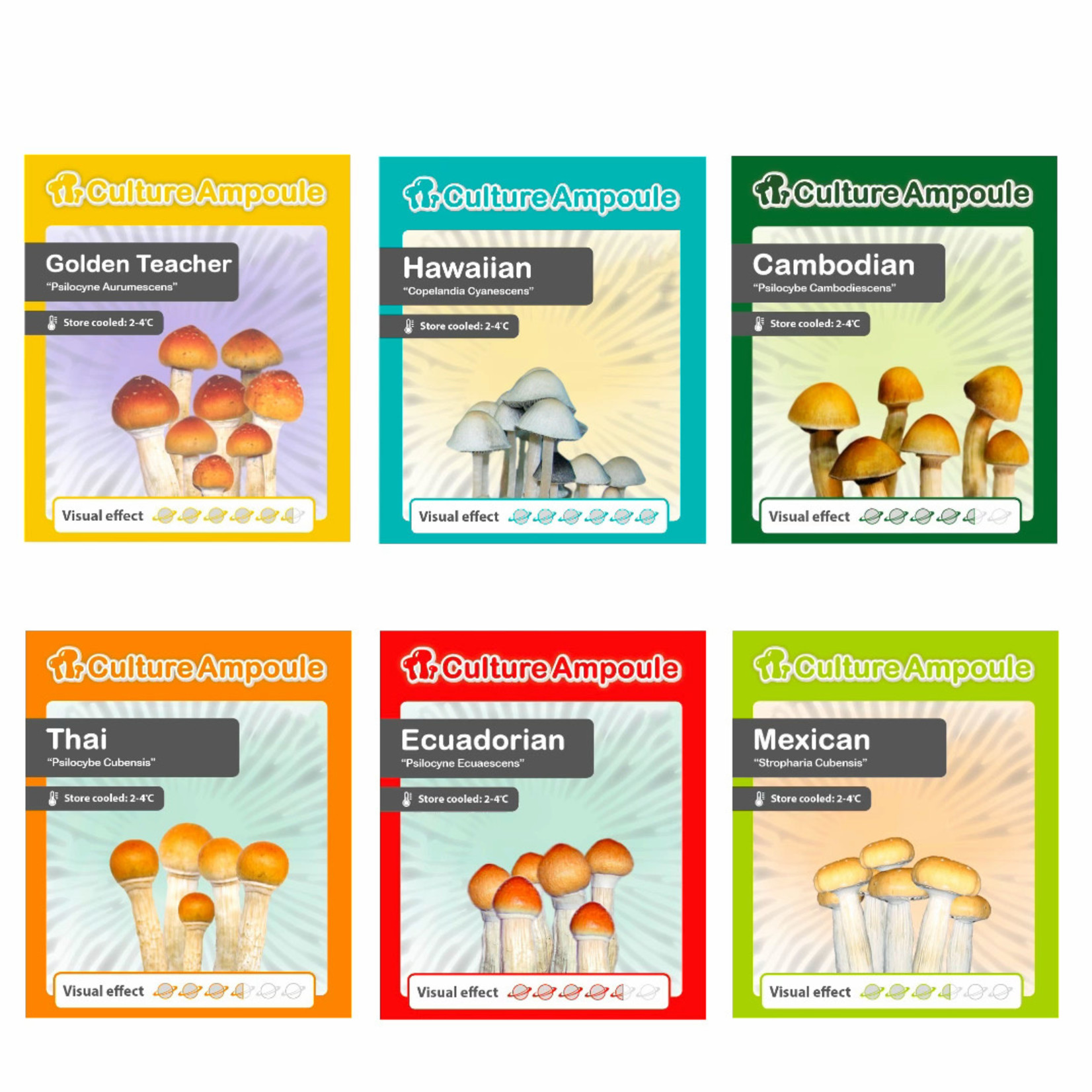 Colombian Psylocybe Colombiescens Liquid Spores Culture Ampoule