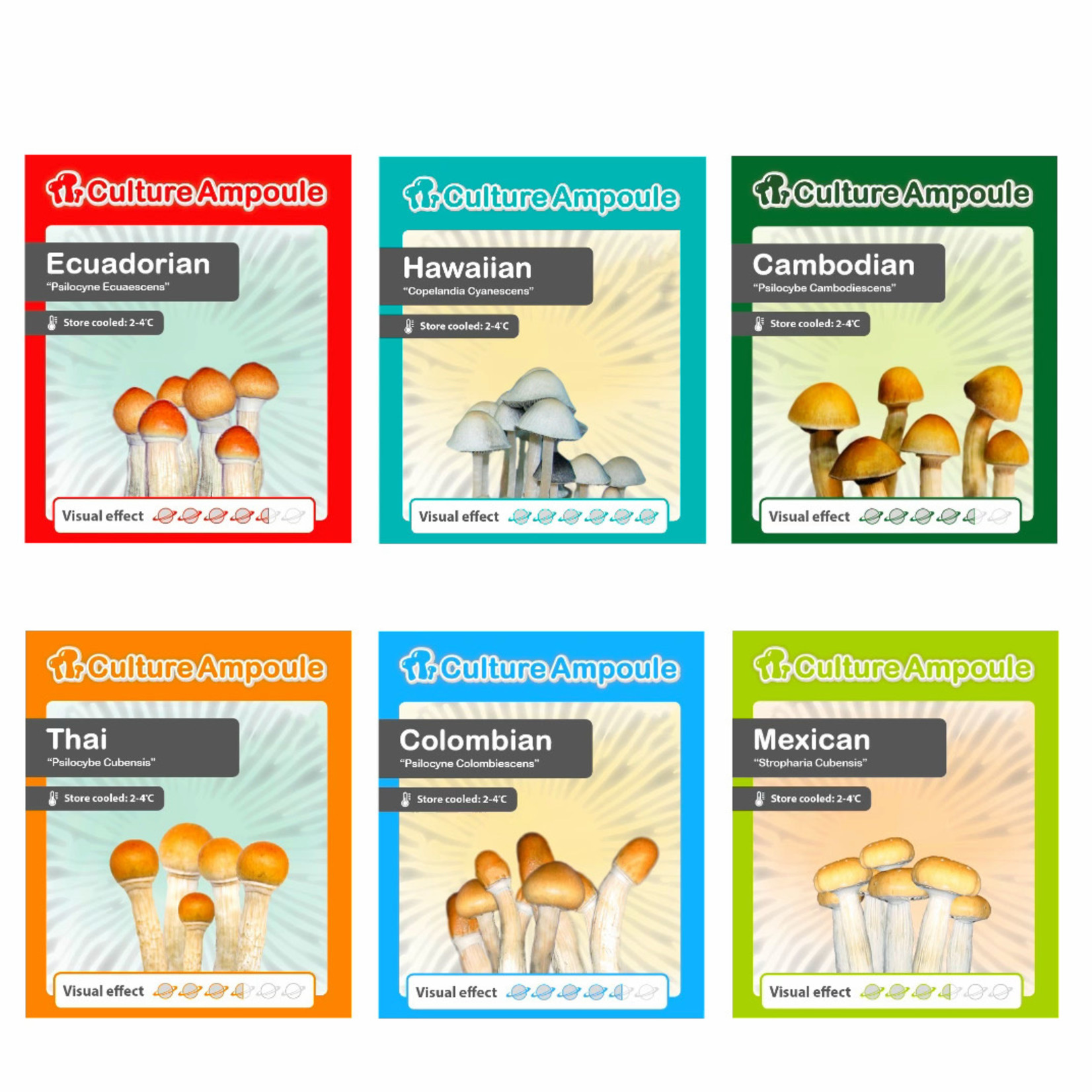 Golden Teacher vloeibare sporen cultuurampul