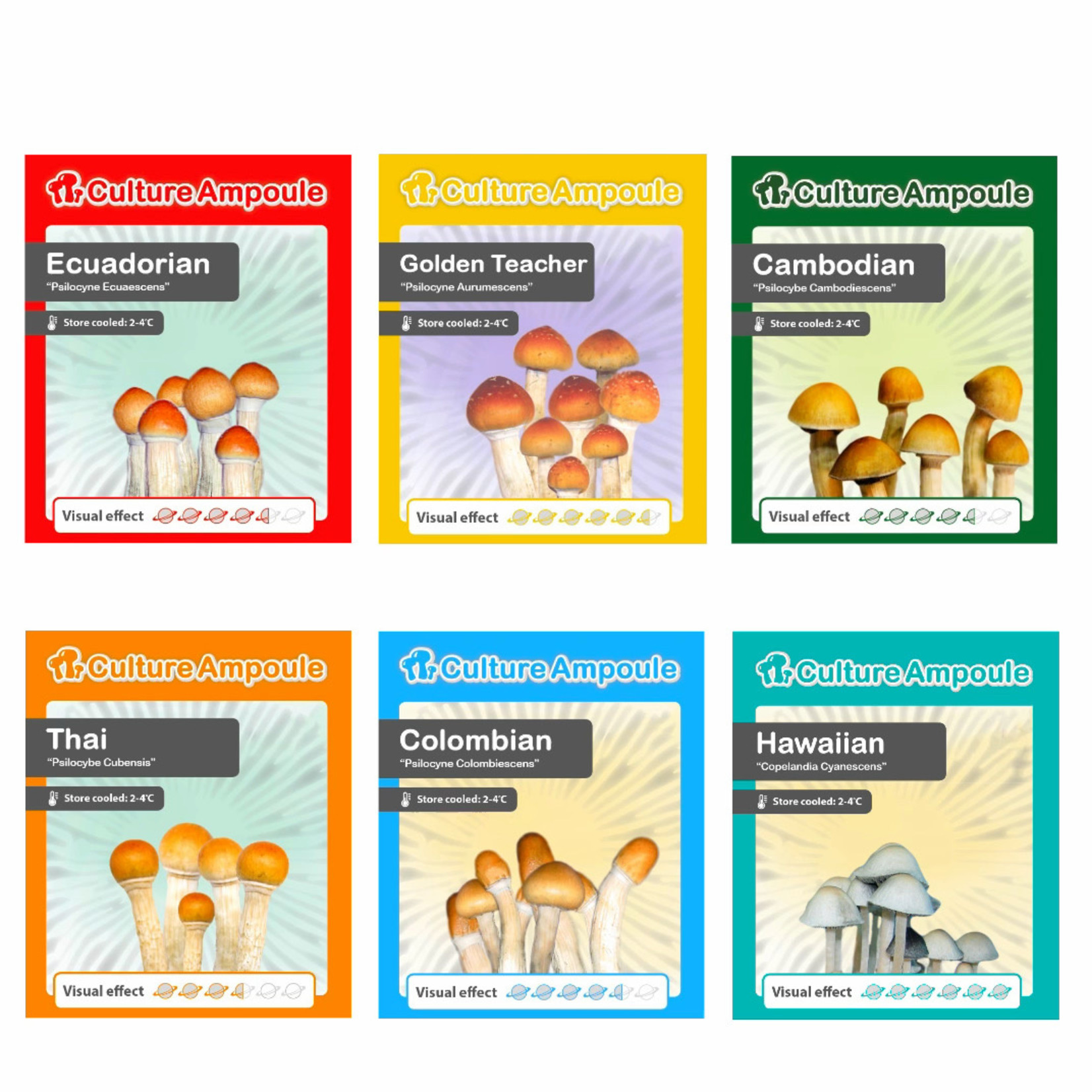 Mexican Liquid Spores Culture Ampoule