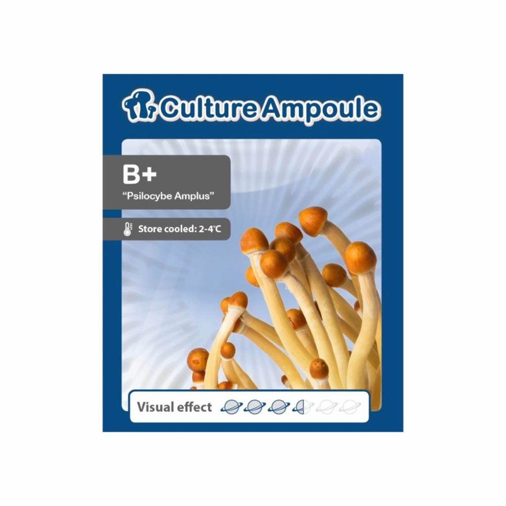 B+ Liquid Spores Culture Ampoule