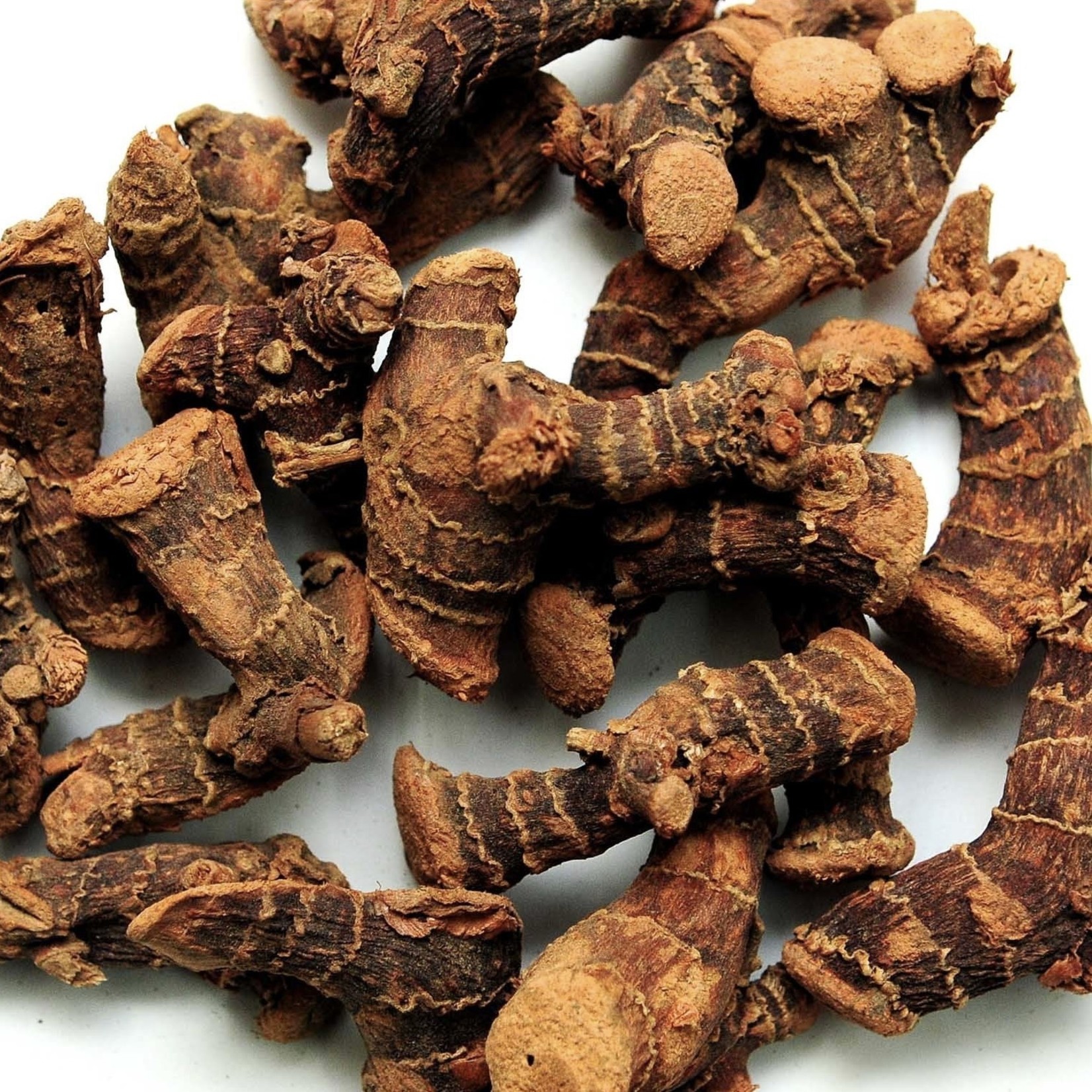 Magic Touch Galangal wortel