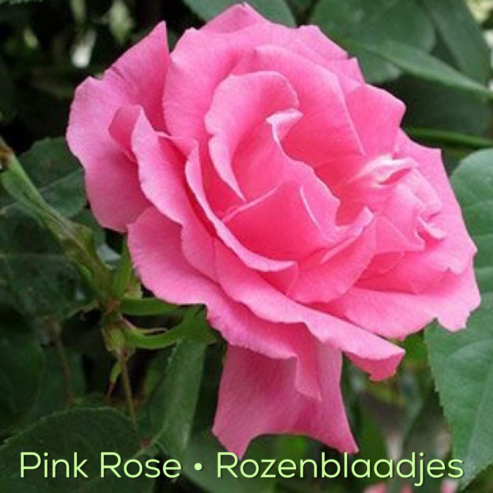 Magic Touch Hart's Deep kruidenmix