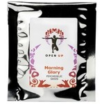 morning glory - blauwe winde