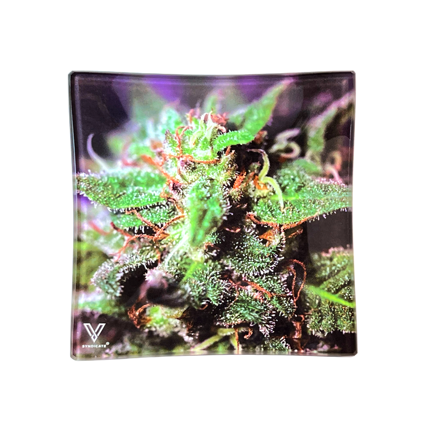 Shatter Resistant Glass Ashtray