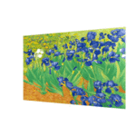 3D postcard - irises
