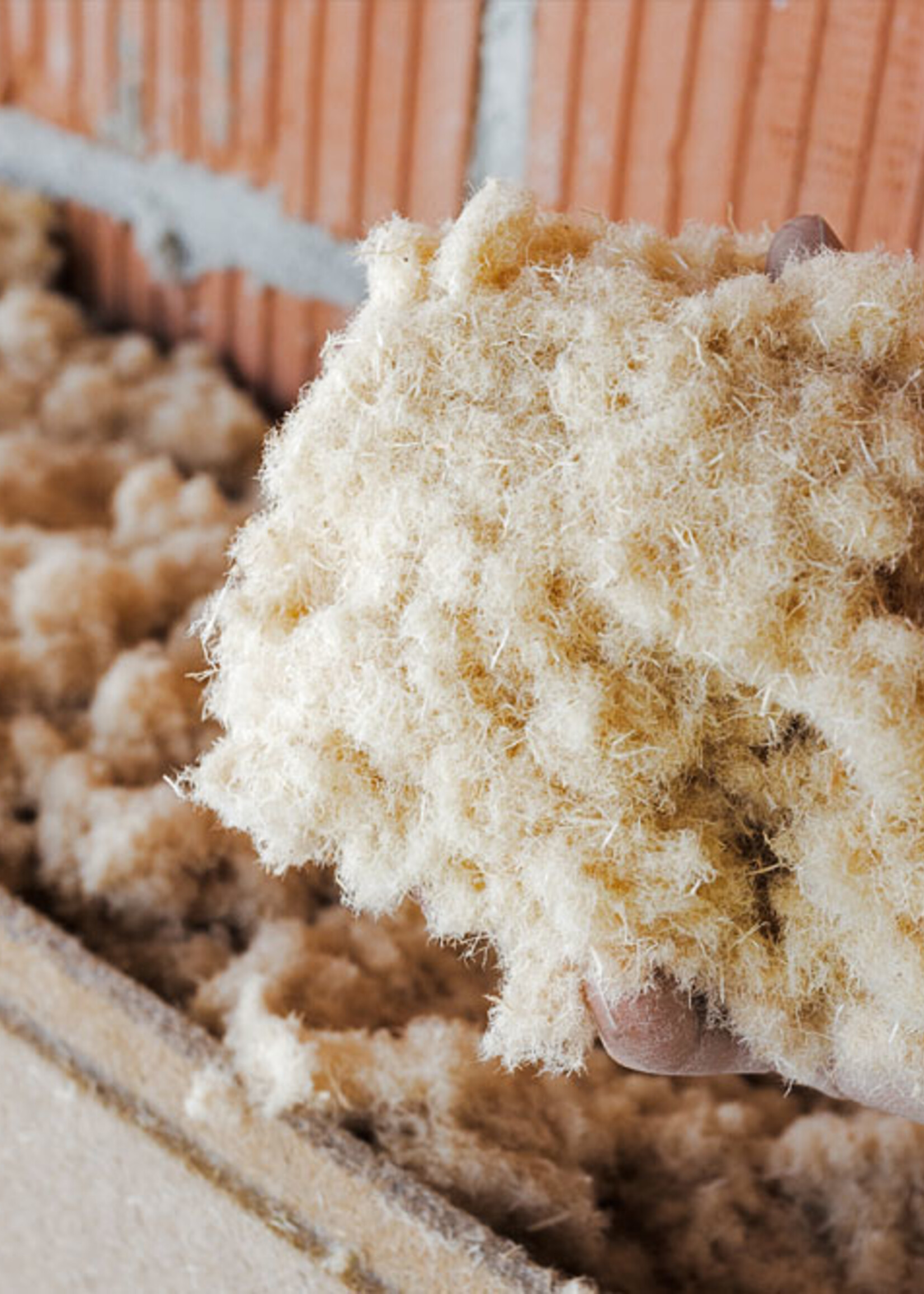 Pavatex Pavawood fibre 15 kg