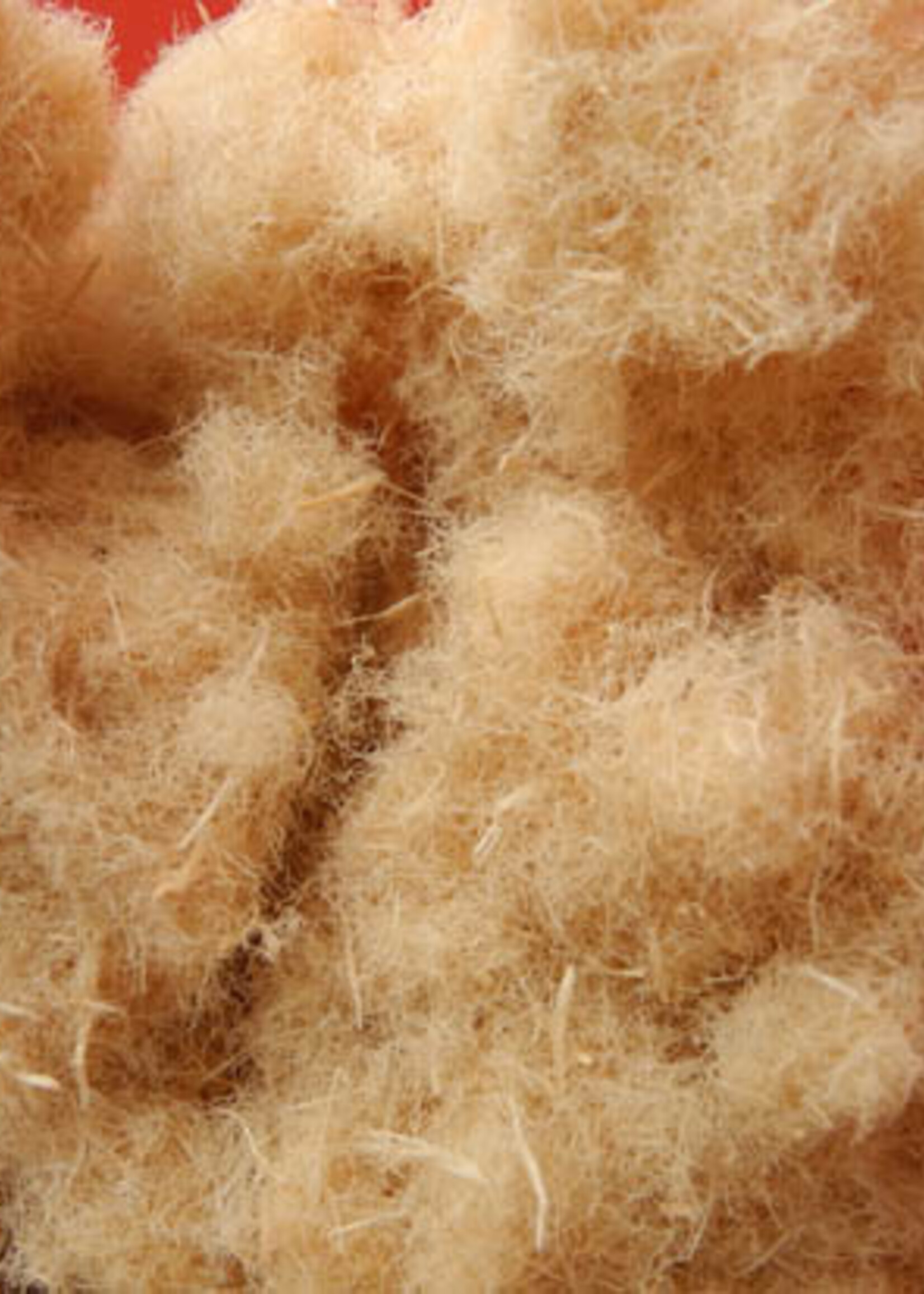 Pavatex Pavawood fibre 15 kg