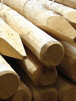 Castanea Kastanje paal rond 10-12