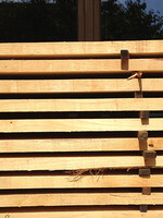 Castanea Kastanjehouten plank, ongeschaafd