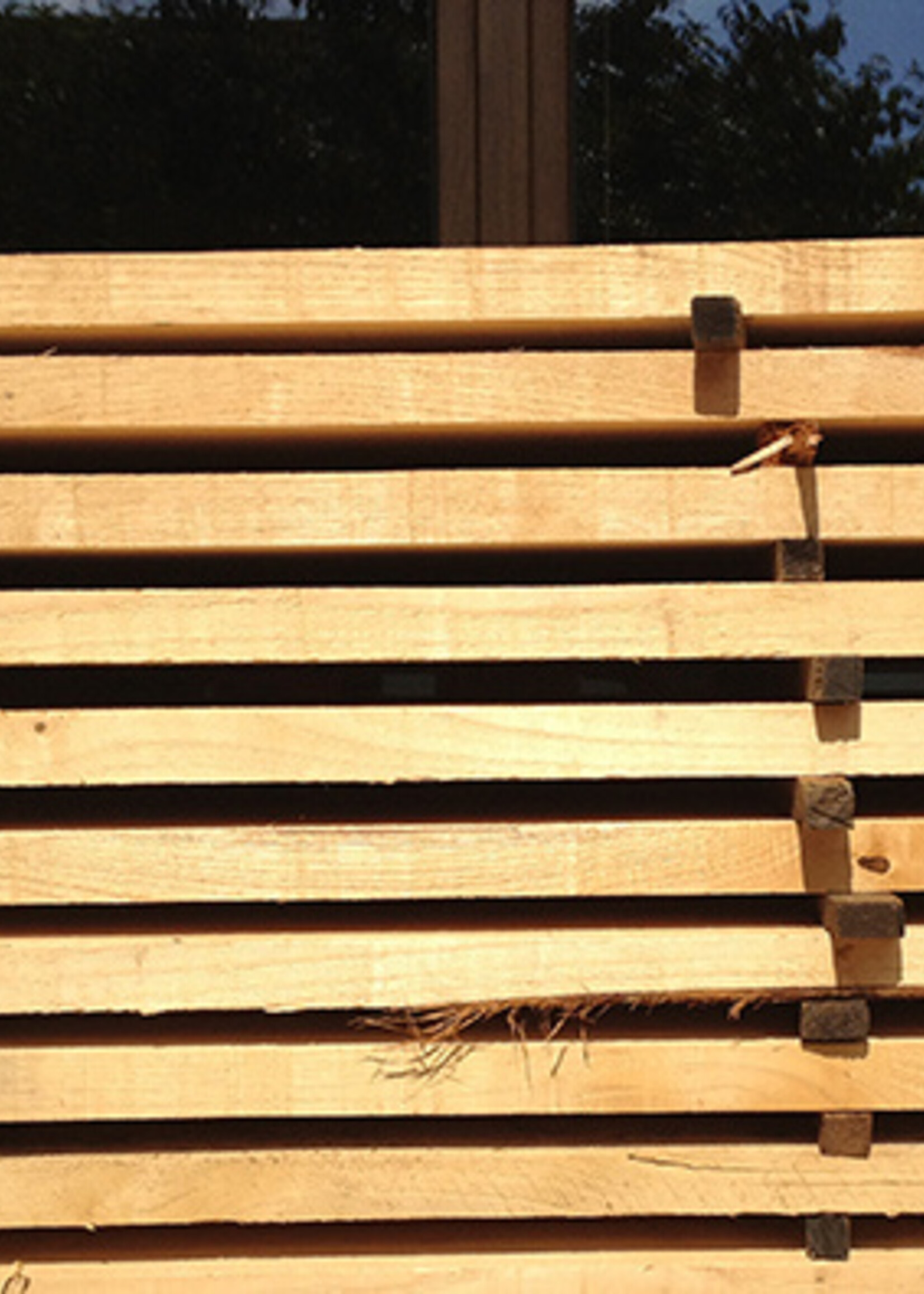 Castanea Kastanjehouten plank, ongeschaafd