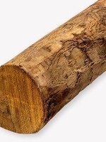 Castanea Kastanjepaal 4 mtr