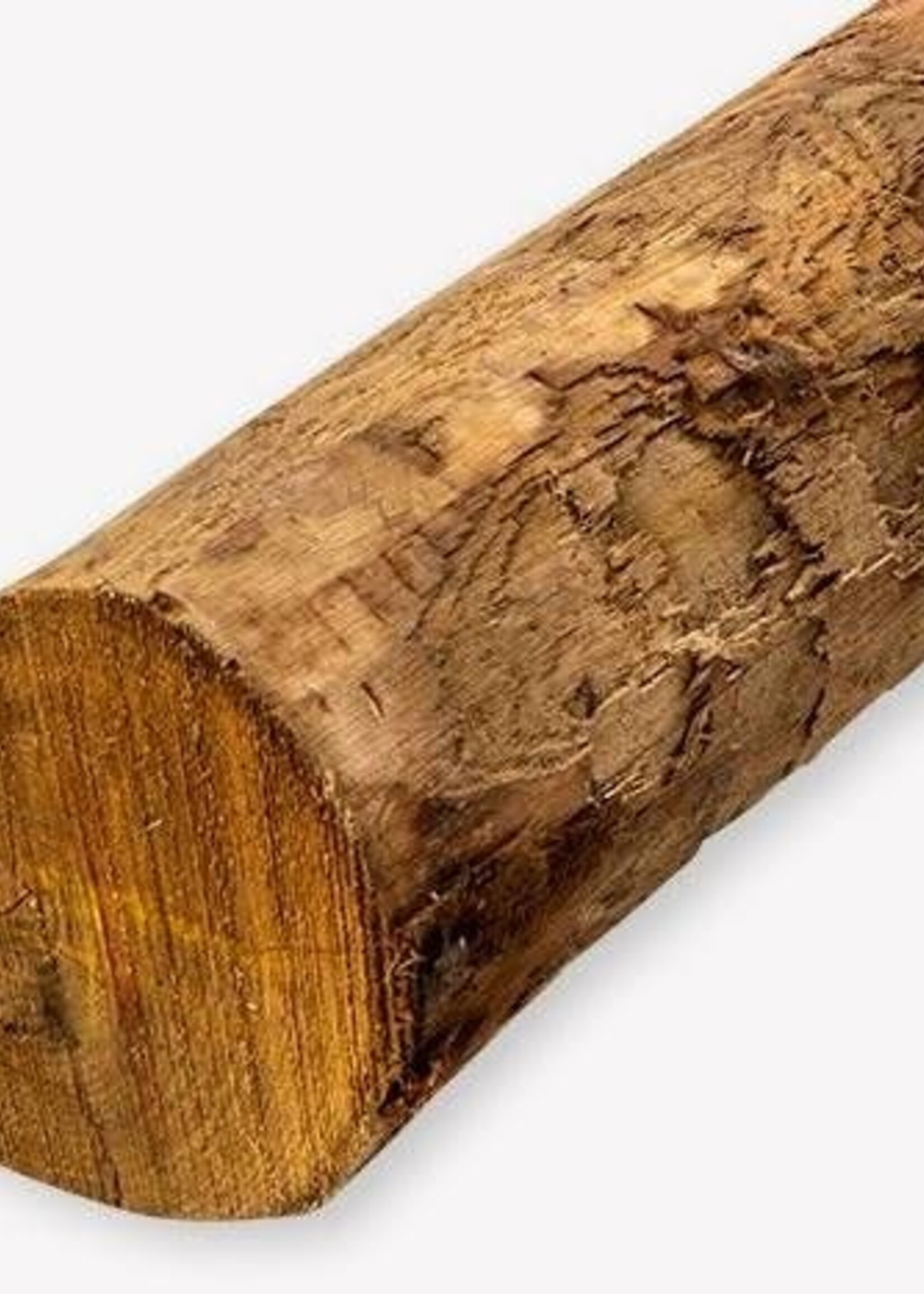 Castanea Kastanjepaal 4 mtr