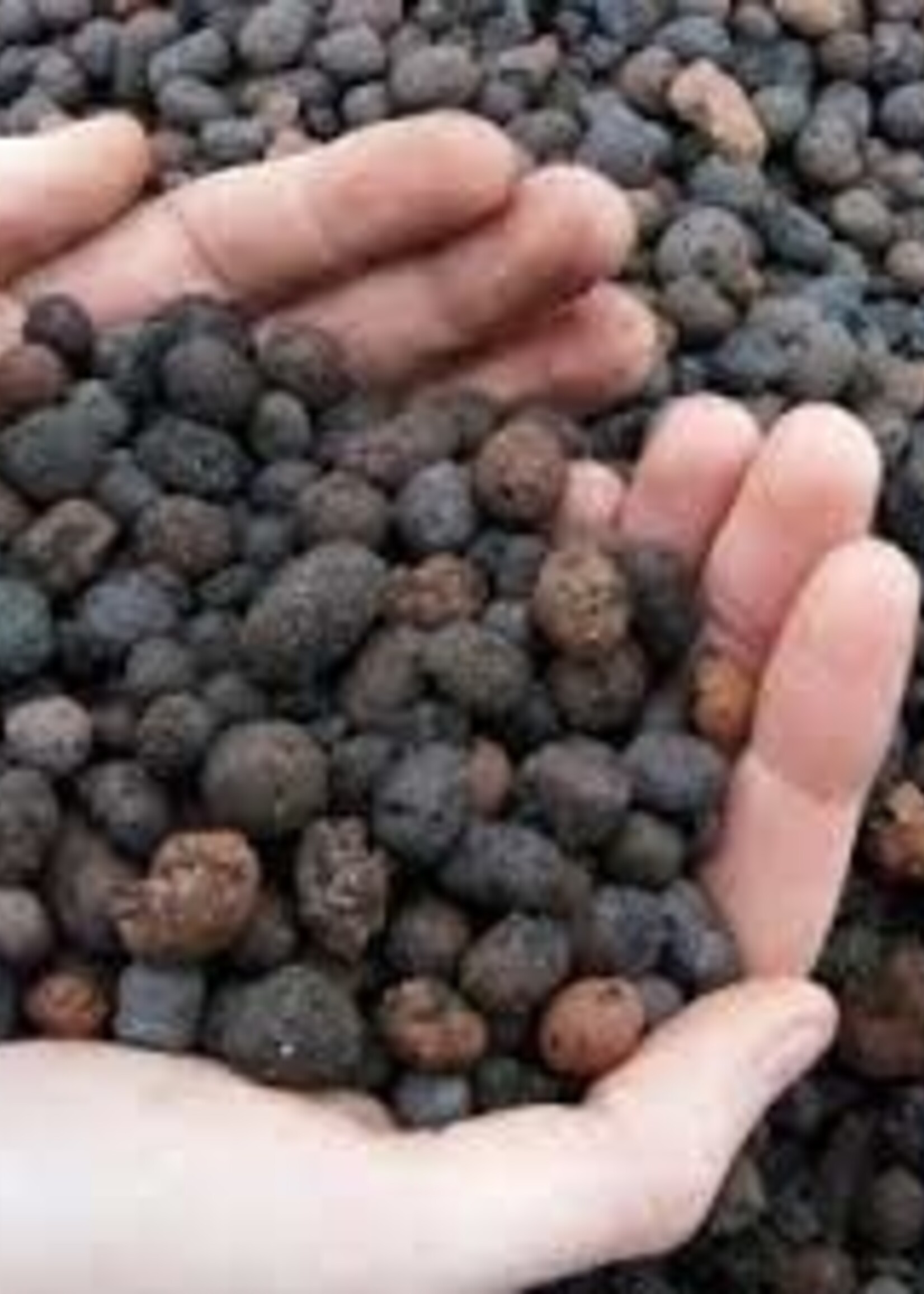 Argex Isolerende kleikorrels 8/16