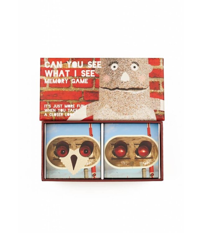 Can You See What I See Memory Game