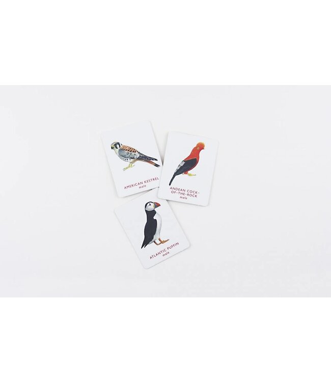 Match a Pair of Birds