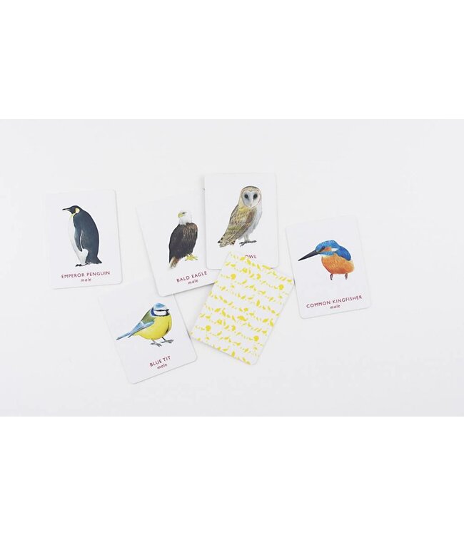 Match a Pair of Birds