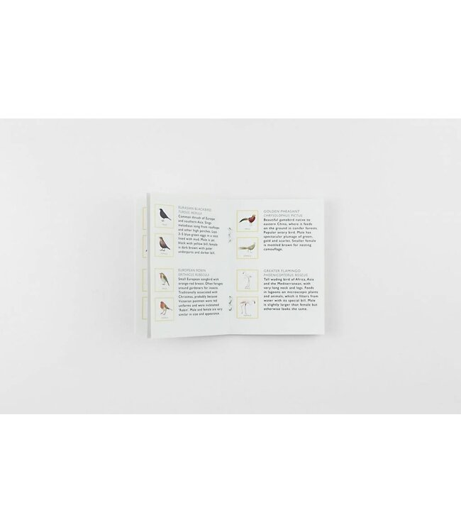 Match a Pair of Birds