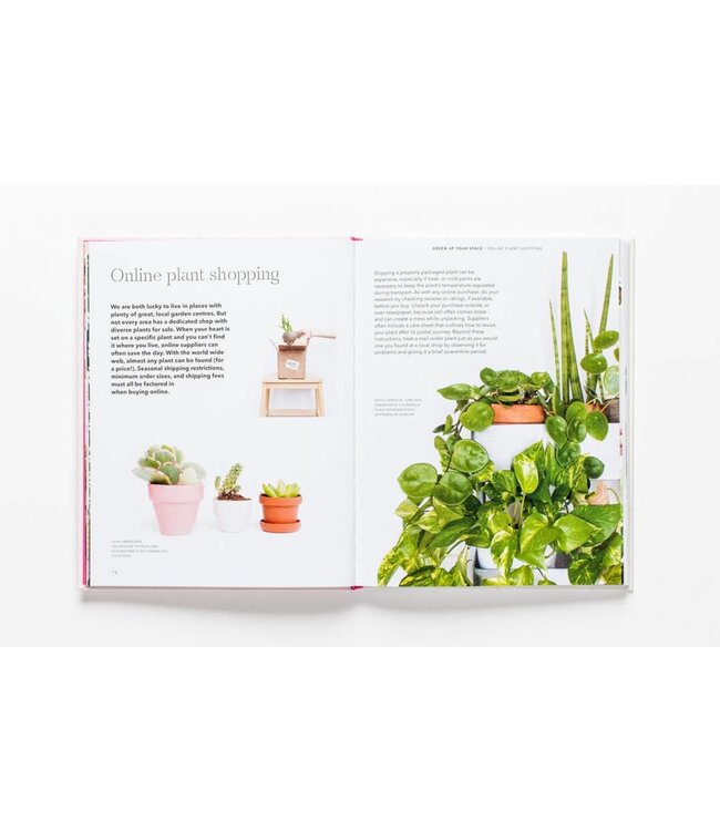 How to Raise a Plant