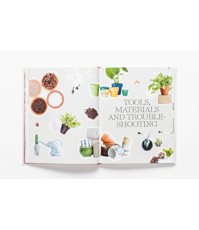 How to Raise a Plant