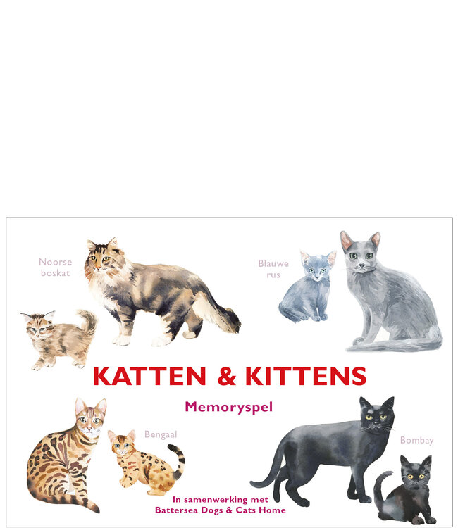 Katten & kittens memoryspel
