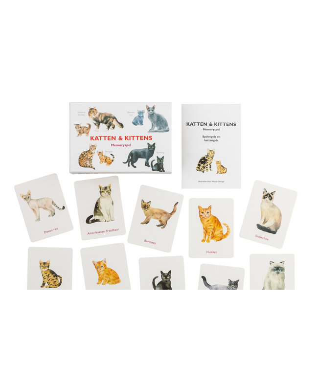 Katten & kittens memoryspel