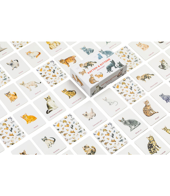 Katten & kittens memoryspel
