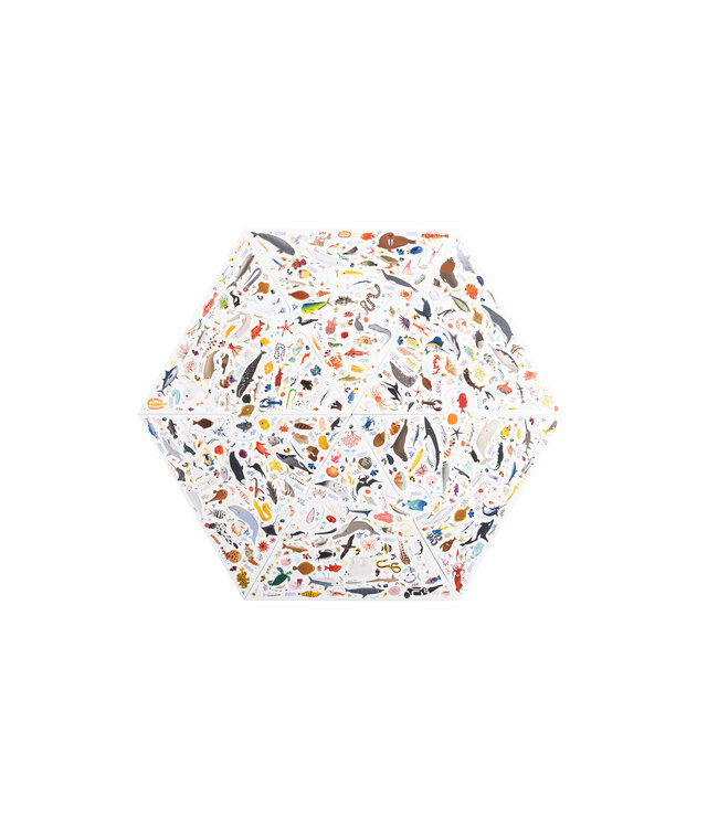 Ik zie je wel! Oceaan