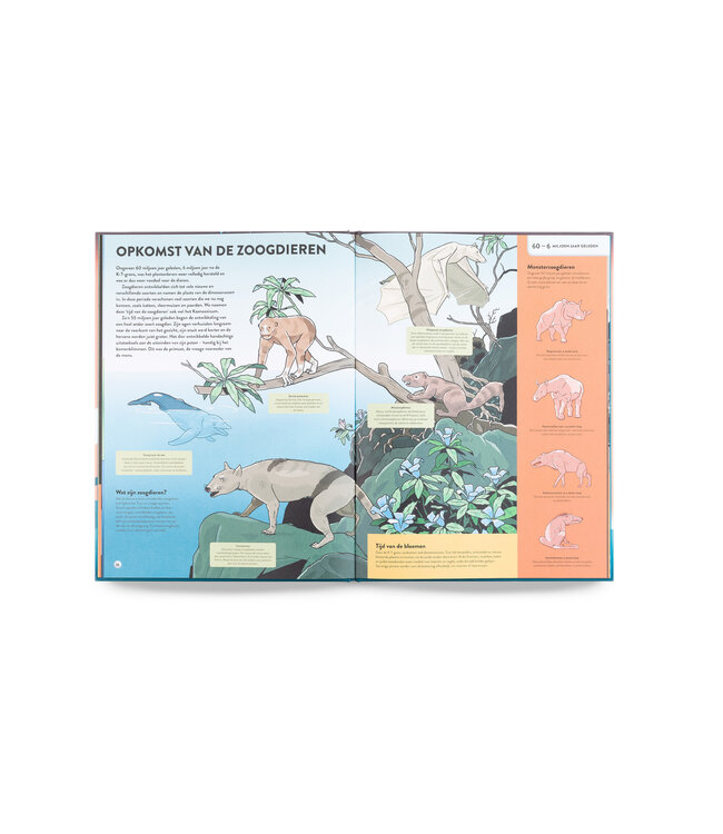 De geschiedenis van de aarde